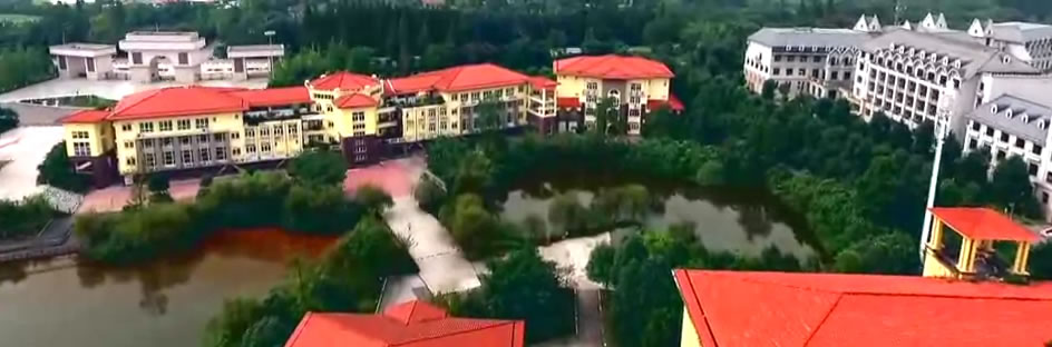 cisisu